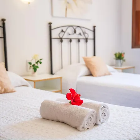 Ferienhaus Ideal Mallorca - Tacaritx Alcúdia
